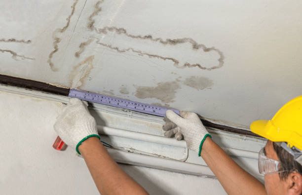 Affordable Basement Flood Cleanup solutions in Wheeler, MI